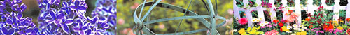 Assorted gardens